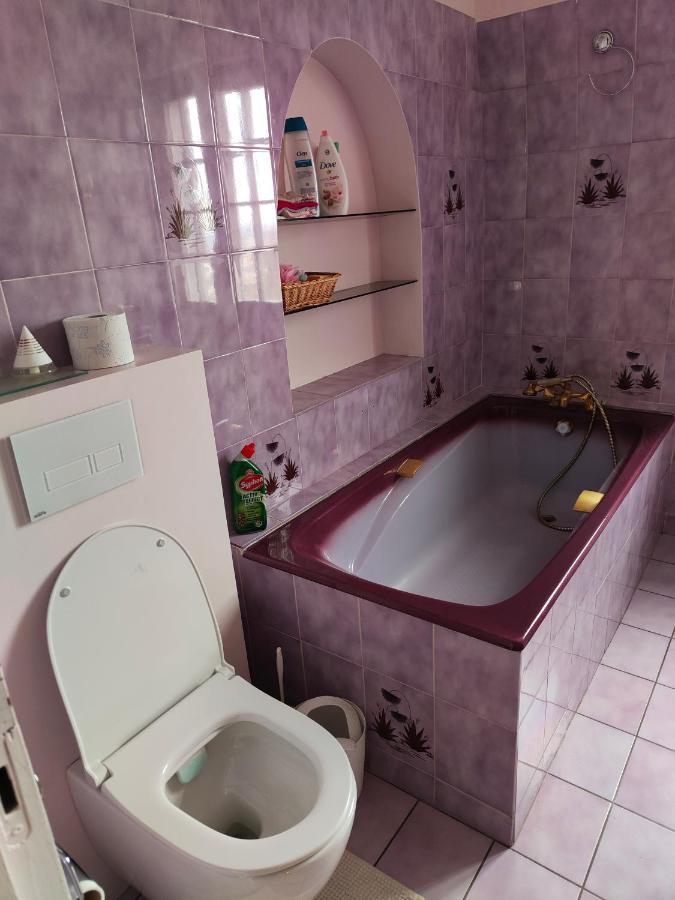Chambre Grise Dans Une Demeure Du 16Eme A Saumur Comprenant Cuisine Equipee المظهر الخارجي الصورة